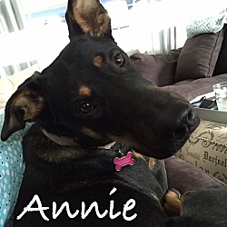 Thumbnail photo of Annie  #1