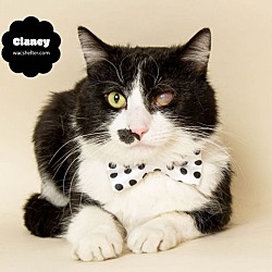 Photo of CLANCY