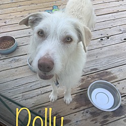Photo of Dolly & Molly
