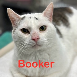 Photo of BOOKER