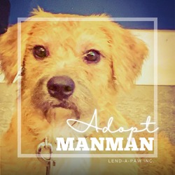 Photo of Manman