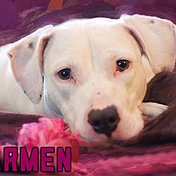Thumbnail photo of Carmen #2