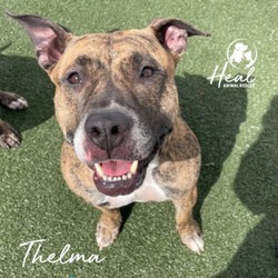 Thumbnail photo of Thelma #4