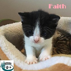 Thumbnail photo of Faith - Pretty Girl! #4