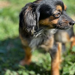 Photo of Carmen