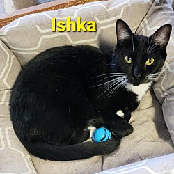 Photo of Ishka