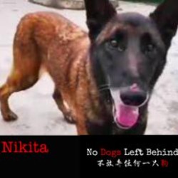 Thumbnail photo of Nikita 8442 #3
