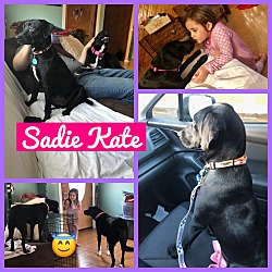 Thumbnail photo of Sadie Kate #2