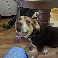 Photo of Reeses