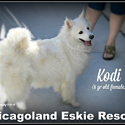 Thumbnail photo of Kodi #1
