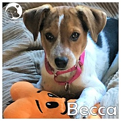 Thumbnail photo of Becca #3
