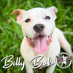 Thumbnail photo of Billy Bob Jeans #1