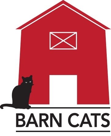 Thumbnail photo of Barn Cat Saltine #1