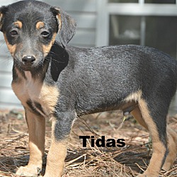 Thumbnail photo of Tidas ~ meet me! #3