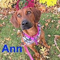 Photo of Ann