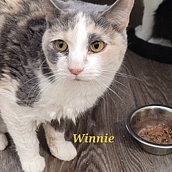 Thumbnail photo of Winnie #1