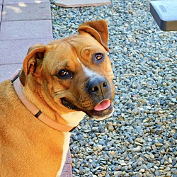 Photo of Rosie
