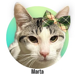 Photo of Marta