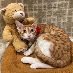 Photo of Sterling