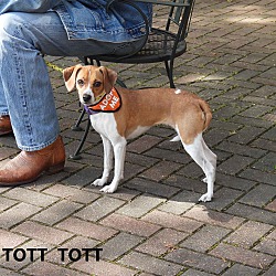 Thumbnail photo of Tott Tott #4