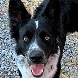 Photo of JoJo