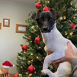 Photo of Dottie