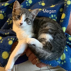 Photo of Megan