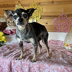 Photo of Buzz
