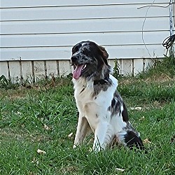 Photo of Crockett