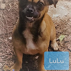 Photo of Little LuLu