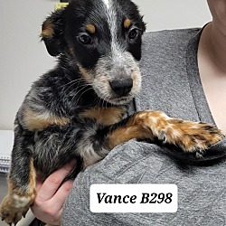 Photo of Vance B298
