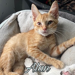 Thumbnail photo of Alan #1