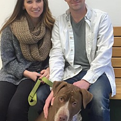 Thumbnail photo of Sawyer-Adopted! #4