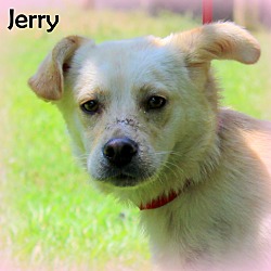 Thumbnail photo of Jerry ~ meet me! #3
