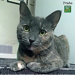 Photo of Trisha