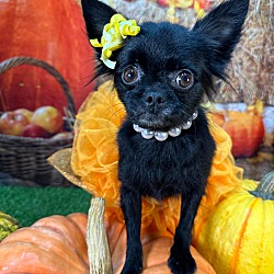Photo of Betty Davis