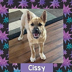 Thumbnail photo of Cissy #1