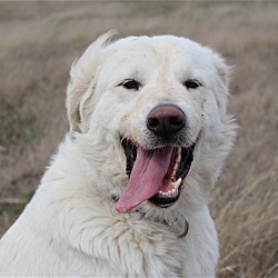 Photo of Eli