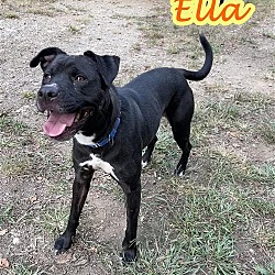 Thumbnail photo of Ella #2