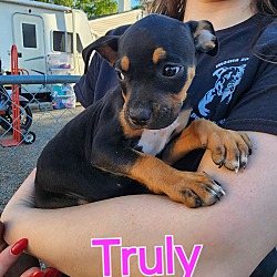 Photo of Truly