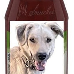 Thumbnail photo of Smuckers #2