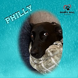 Thumbnail photo of Philly (Courtesy Post) #2