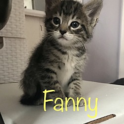 Photo of Fanny