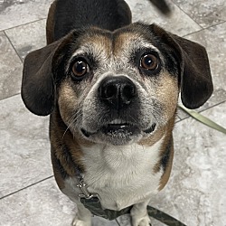 Photo of OPIE