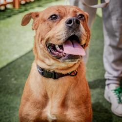 Thumbnail photo of WHITNEY-A2153756 #1