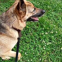 Photo of Lucy