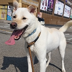 Thumbnail photo of Bolt #4