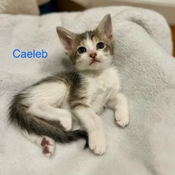 Thumbnail photo of Caeleb H #1