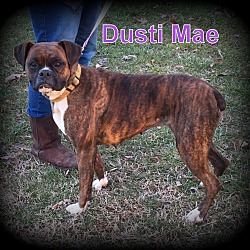 Thumbnail photo of Dusti Mae #2