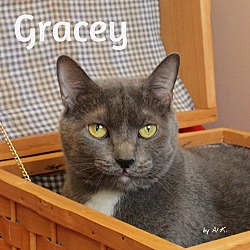 Thumbnail photo of Gracey #1
